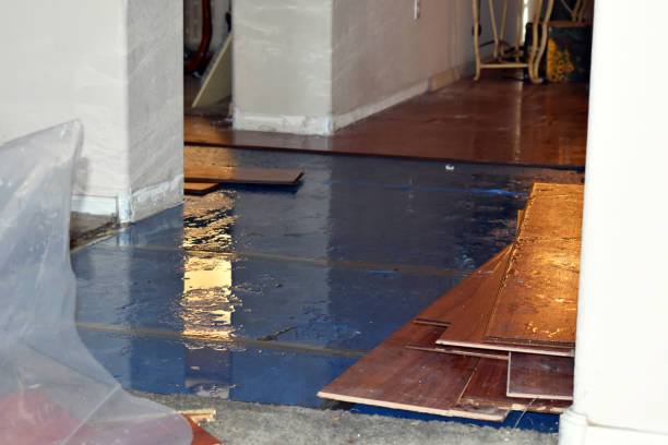 Professional Water Damage Restoration technician working in Eland, WI